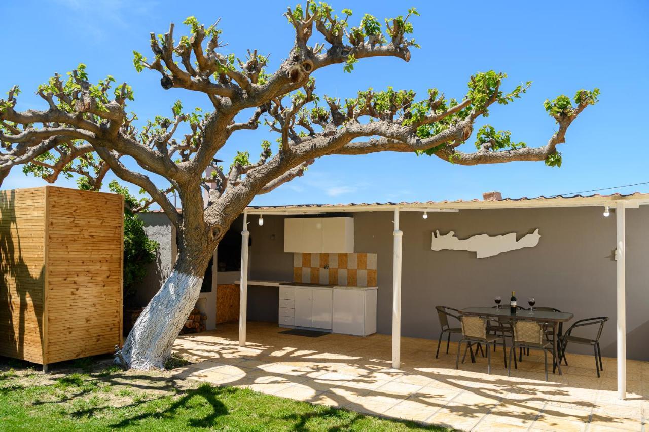 Petrakis Afrathias Garden House Villa Kalamaki  Exteriör bild